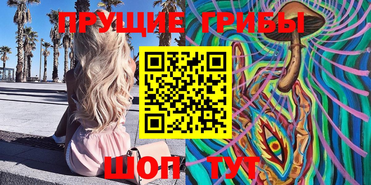 купить   Вход с VPN  Отрадный  Псилоцибиновые грибы Magic Shrooms 